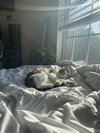 Peach - Photo 4