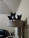 Vinnie - Photo 4