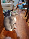Courage - Photo 3