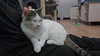 Bubbalicious - Photo 4
