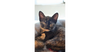Tiny - Photo 3