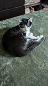 Sophie W - Photo 3