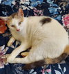 Moira - Photo 2