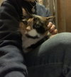 Patches - Photo 3