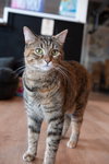 Carlita - Photo 3