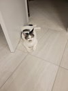Elphie - Photo 3