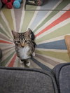 BB - Photo 3