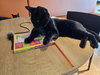 Frasier - Photo 2