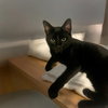 Frasier - Photo 4