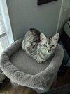 Taco Belle - Photo 3