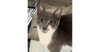Gabriel - Photo 4