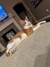 Tudot - Photo 2