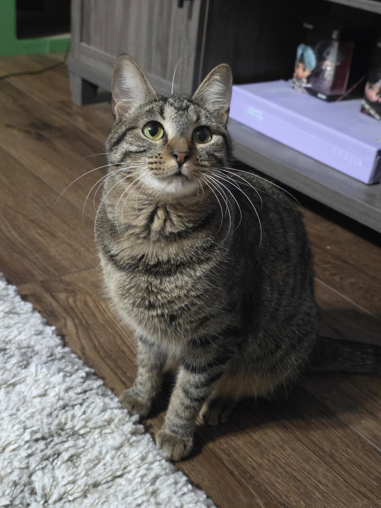 Juno, photo 2