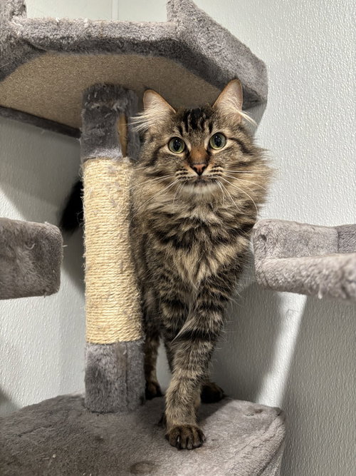 Pablo