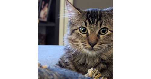 Pablo photo 3