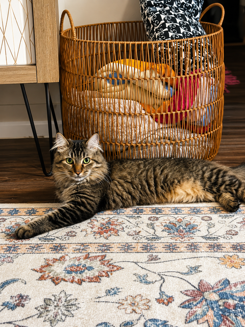 Photo 4 of Pablo