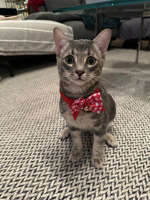 Photo 2 of Theodore