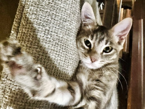 Leela May photo 3