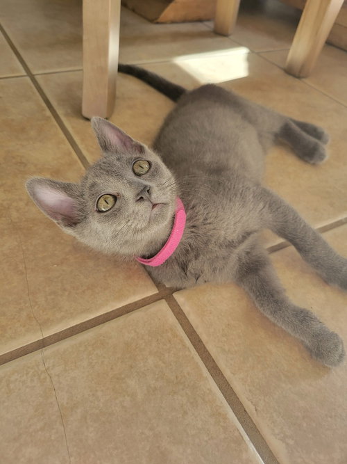 Dusty photo 3