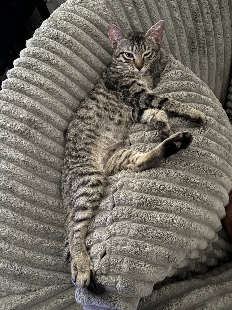 Minnie, photo 3