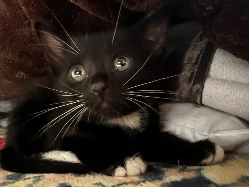 Photo 4 of Luke Skywhisker