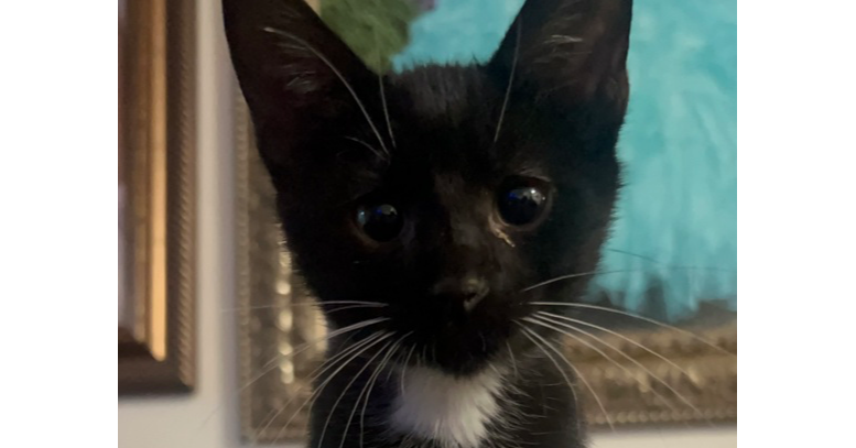 Luke Skywhisker