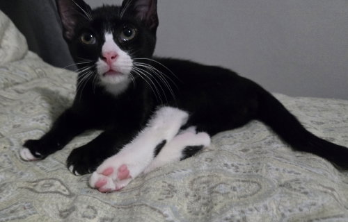 Photo 4 of Gabriel Bixby