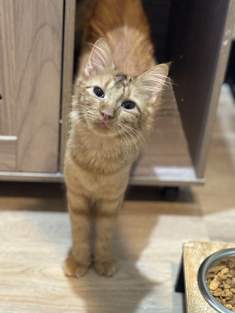 Fran