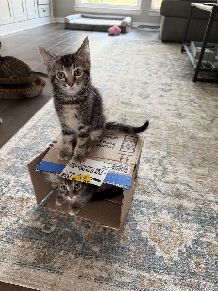 Marseille