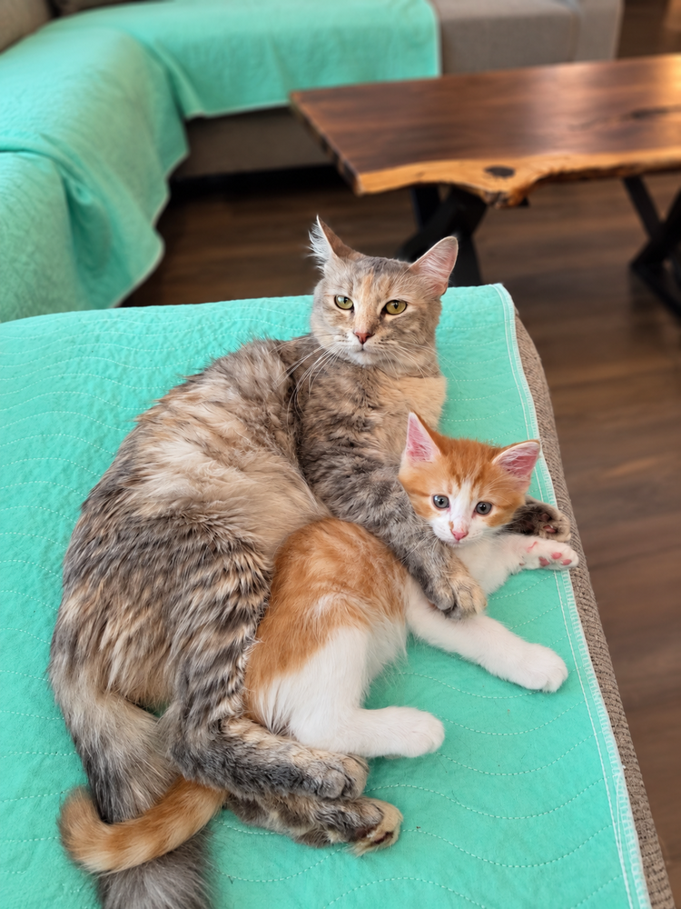 Wynter, photo 2