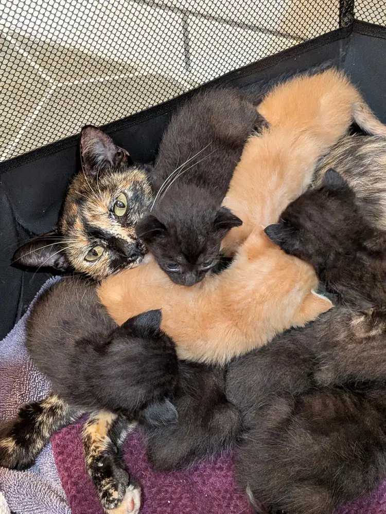 Marfa image 2