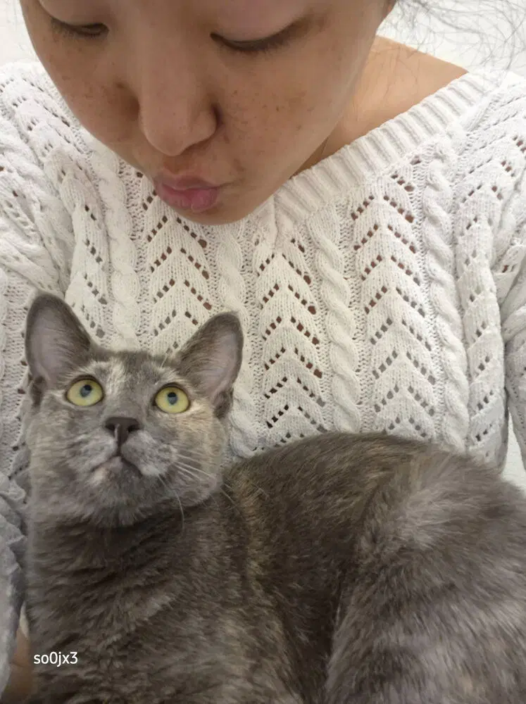 Mitzi image 2