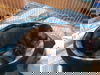 Shadow 0025