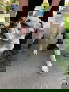 Dot 0065