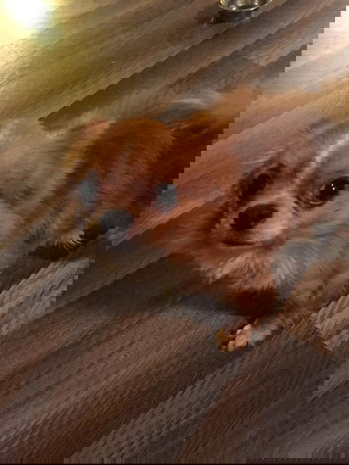 Tito 0084