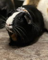 Betty 0292