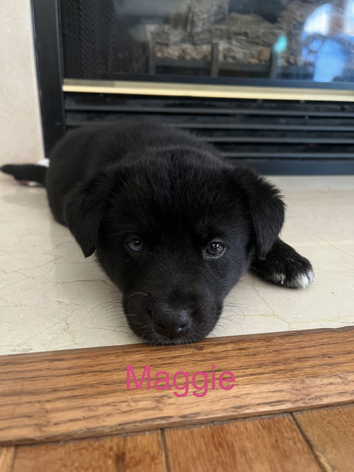 Maggie 0304