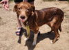 Duncan 0409