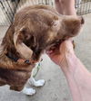 Duncan 0409