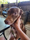 Duncan 0409