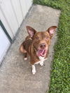 Duncan 0409