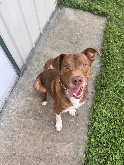 Duncan 0409