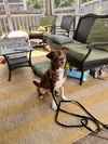Duncan 0409