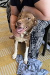 Duncan 0409