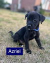 Azriel 0494