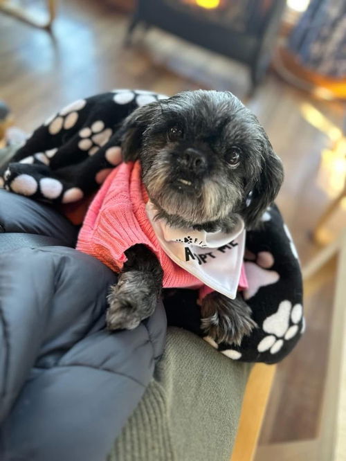 Stella 0504