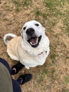 Maggie Moo 0515