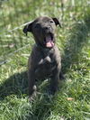 Mary Puppins 0522