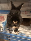 BunBun0539
