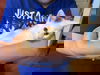 Reggie 0540